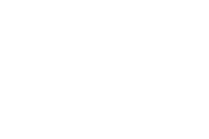 ENDOVIDA 2