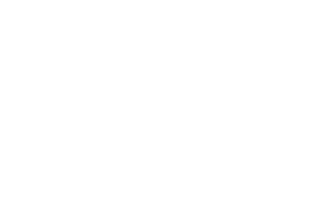 GINESTETIC 2