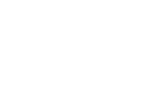 REINA M 1