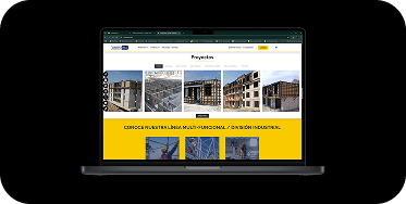 Diseño web profesional en Toluca
